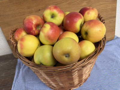 Obst und Gemüse