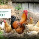 BioAgrar - Messe für ökologische Landwirtschaft