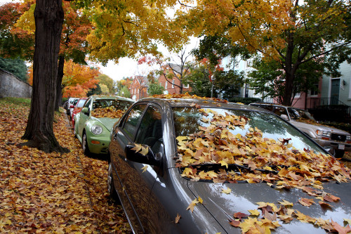 Herbstvibes an der Zapfsäule: Wie Sie bei Günther in Lahr im Herbst zum Sparfuchs werden