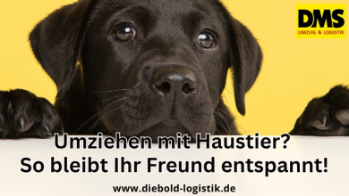 Neuigkeiten