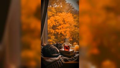 Nach dem Herbst kommt sicher der Winter