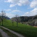 Mai-Wanderung auf dem Wiesensteig