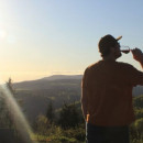  Offene Weinproben - Ein Genuss für alle Sinne