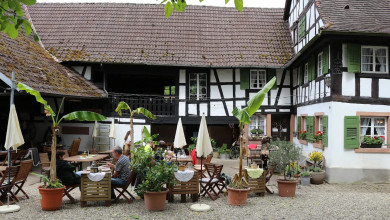 Neuigkeiten