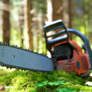 Motorsägenlehrgang – sicher sägen will gelernt sein