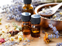 Einführung in die Welt der Düfte Grundlagen der Aromatherapie