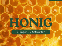 Honig – Das süße Gold der Natur: 7 Fragen, 7 Antworten