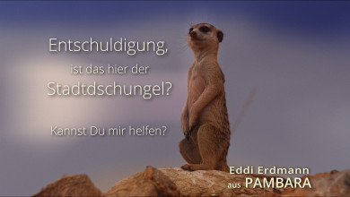 Neuigkeiten