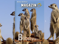 Biodivers - Matto Barfuss Magazin G - 2024