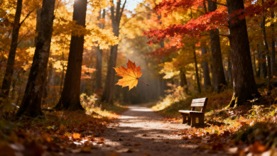  Entdecken Sie die spirituelle Weisheit des Herbstes und wie das bewusste Loslassen Ihre Seele befre