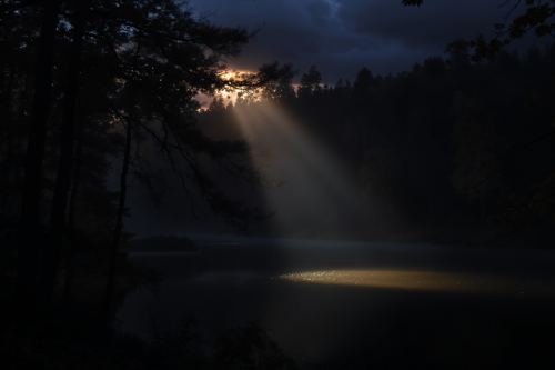 Im Dunkel wohl geborgen – Der Weg der christlichen Mystik