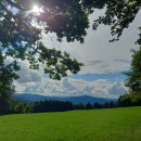 Raus aus dem Alltag – Rein ins Wald-Abenteuer! 