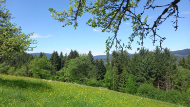 Kurze Momente des Innehaltens verändern nachhaltig Ihr Leben