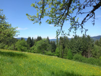 Kurze Momente des Innehaltens verändern nachhaltig Ihr Leben