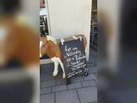 Neuigkeiten