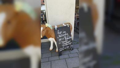 Neuigkeiten