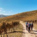 Oberkircher Weinwanderung: Von der Höll ins Paradies