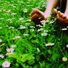 Mode Fr�hling